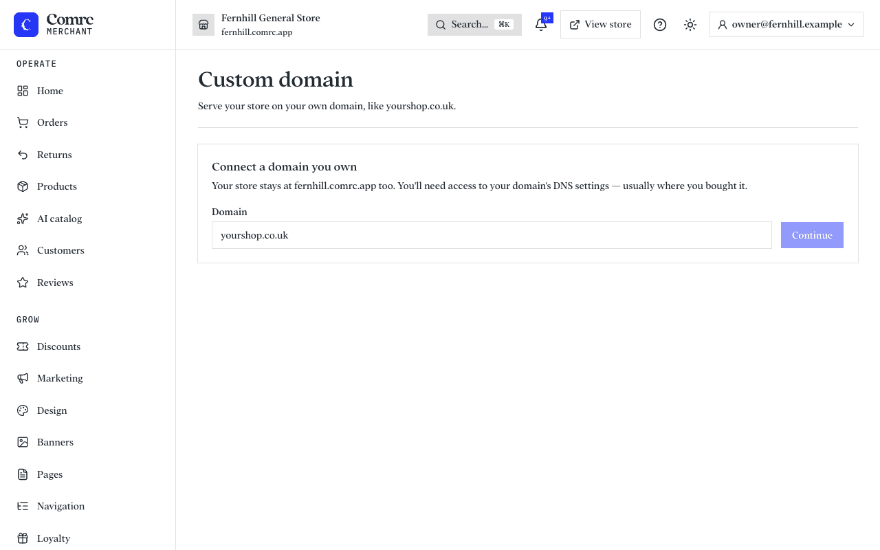 The Custom domain page: the store's current address and a box to enter your own domain.